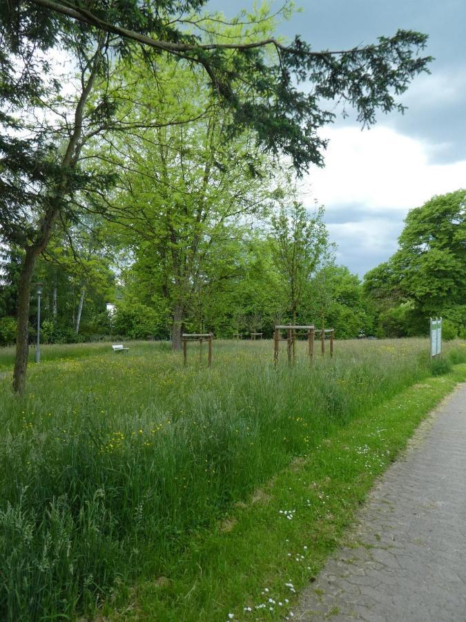 Ferienwohnung Am Hirschpark Bad Pyrmont Eksteriør bilde